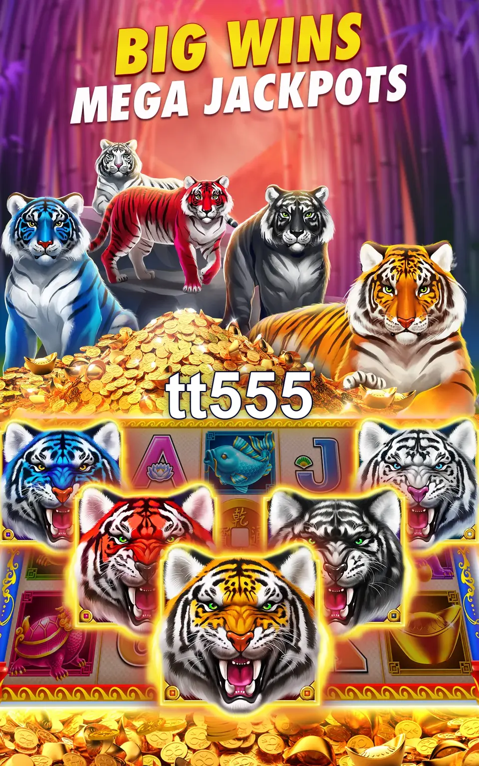 tt555 Baixar